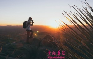 黄蜀葵姓名分数84分