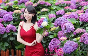 董娃蛋姓名打分70分