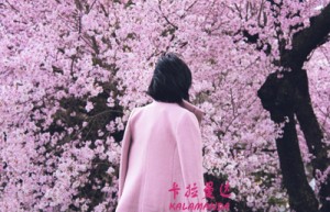 严新姓名分数84分