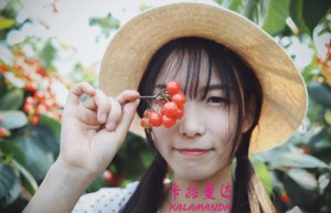 孟入芸姓名打分57分