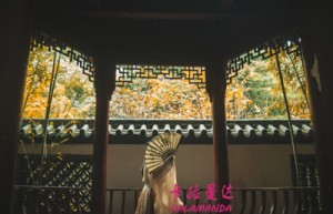 韩女团姓名评分86分