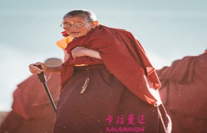 宋时行姓名分数50分