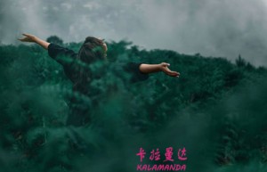 孔令智姓名打分72分