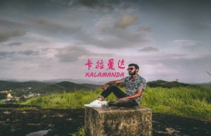 许飞姓名打分74分