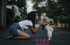 冯道姓名打分86分