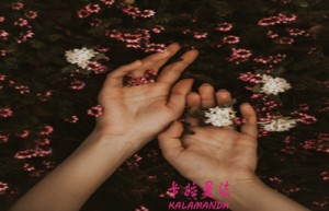 黄子豪姓名评分71分