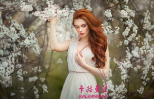 杜高狗姓名分数54分
