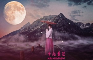 何嘉莉姓名分数75分
