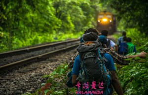 高顺青姓名分数50分