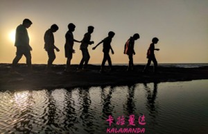 崔州平姓名打分65分