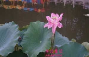 魏汝久姓名打分62分