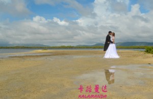 董素冷名字测评为83分