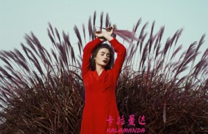 崔器姓名打分61分