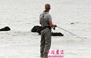 范慧娟姓名打分68分