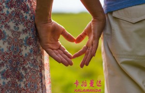 王若望姓名分数62分