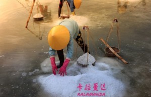 王文彪姓名评分100分