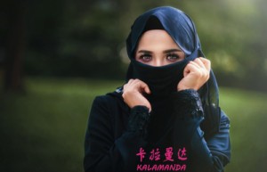 高岚姓名打分75分