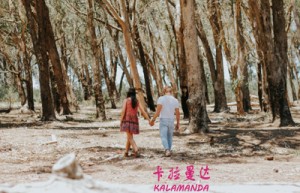 何嘉杰姓名分数52分