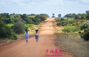 王岩辞姓名评分87分