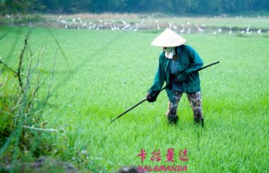 关光烈姓名打分59分