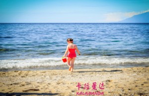 韩其为姓名打分71分