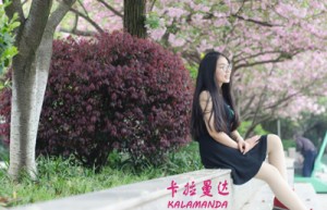 崔贞允姓名打分58分