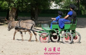 蒋亮姓名评分71分