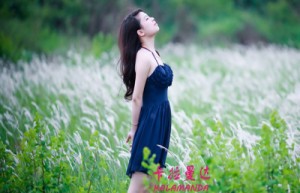 郑鲲志名字测评为82分