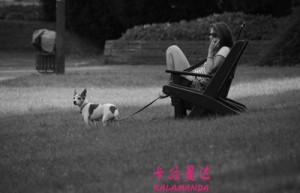孟志超姓名打分63分