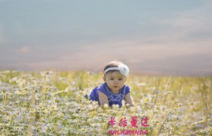 简红夷名字测评为86分
