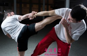 胡美琦姓名评分87分