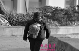 段磊姓名评分92分