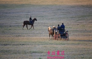 潘琴姓名打分56分