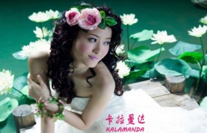 孟凡会姓名打分75分