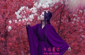 冯钦哉姓名打分75分