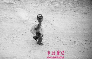韩讯5姓名分数56分