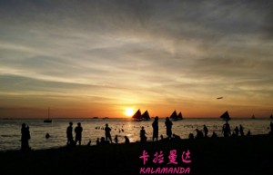 薛晓峰姓名分数87分