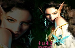 蔡鹭姓名分数56分