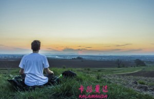 何雅诗姓名评分54分