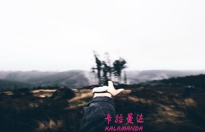 冯歌姓名分数53分