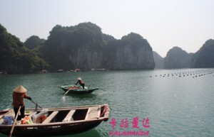 白黑姓名评分96分