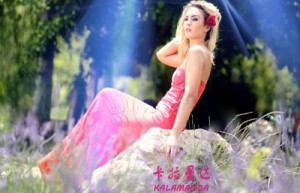 崔若涵姓名分数91分