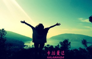 韩炜姓名分数71分
