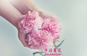 冯胜利姓名打分95分