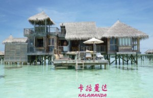 何晓莉姓名打分84分