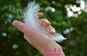 孟晓犁姓名分数60分