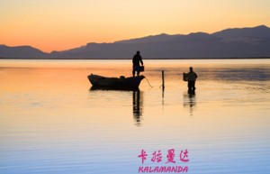 曹阳姓名分数89分