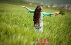 张晋豪姓名分数70分
