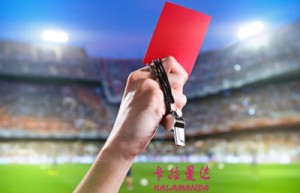 韩彩儿姓名打分50分