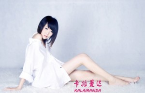 杨璞姓名打分58分